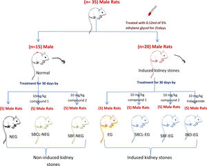 The design of the experimental works.