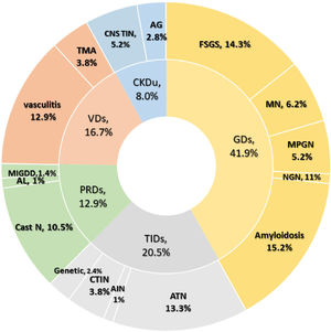 histological groups and subgroups of the studied groups. AG: advanced glomerulosclerosis, AIN: acute interstitial nephritis, AL: light chain amyloidosis, ATN: acute tubular necrosis, Cast N: cast nephropathy, CKDu: chronic kidney disease of undetermined etiology, CNS TIN: chronic non-specific tubulointerstitial nephritis, CTIN: chronic tubulointerstitial nephritis, FSGS: focal and segmental glomerulosclerosis, GDs: glomerular diseases, MIDDs: monoclonal immunoglobulin deposition disease; MN: membranous nephropathy, MPGN: membranoproliferative pattern glomerulonephritis, NGN: necrotizing glomerulonephritis, PRDs: paraprotein-related renal diseases, TIDs: tubulointerstitial diseases, TMA: thrombotic microangiopathy, VDs: vascular diseases.