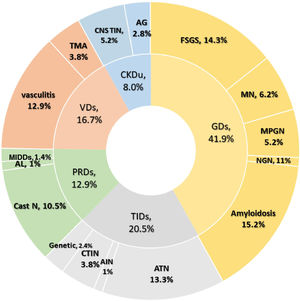 Histological groups and subgroups of the studied groups. AG: advanced glomerulosclerosis, AIN: acute interstitial nephritis, AL: light chain amyloidosis, ATN: acute tubular necrosis, Cast N: cast nephropathy, CKDu: chronic kidney disease of undetermined etiology, CNS TIN: chronic non-specific tubulointerstitial nephritis, CTIN: chronic tubulointerstitial nephritis, FSGS: focal and segmental glomerulosclerosis, GDs: glomerular diseases, MIDDs: monoclonal immunoglobulin deposition disease; MN: membranous nephropathy, MPGN: membranoproliferative pattern glomerulonephritis, NGN: necrotizing glomerulonephritis, PRDs: paraprotein-related renal diseases, TIDs: tubulointerstitial diseases, TMA: thrombotic microangiopathy, VDs: vascular diseases.