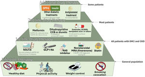 General management of patients with type 2 diabetes and chronic kidney disease. Patients with diabetes and chronic kidney disease (CKD) should receive aholistic approach to avoid cardiovascular complications. This approach should considerlifestyle changes focused on nutrition with special attention to weight control, regular physical exercise, and smoking cessation, adding the use of first-line drugs, according to the clinicalcharacteristics of each patient and prioritizing those with proven benefit from the cardiorenal point of view. Glycemic control is based on insulin therapy in type 1 diabetes mellitus (T1D) Metformin can be used when the estimated glomerular filtration rate (eGFR) is greater than 30 ml/min and a combination of sodium-glucose cotransporter 2 inhibitors (SGLT2i) and GLP-1 RAs (especially semaglutide 1 mg once weekly) for type 2 diabetes mellitus (T2DM). per 1.73 m2, adjusting the metformin doses when eGFR would be between 30-45 ml/min per 1.73 m2. iSGLT2 should be initiated when the eGFR is greater than 20 ml/min per 1.73 m2 and continued until starting treatment with dialysis or transplant. Angiotensin-converting enzyme inhibitors (ACEi) or angiotensin II receptor blockers (ARBs) should be first-line drugs for hypertension when albuminuria is present. Otherwise, dihydropyridine calcium channel blockers (CCBs) or a diuretic may also be considered. All three classes are often required to achieve blood pressure (BP) goals. Adequate control of lipids with different pharmacological groups is crucial, and the use of statins is recommended for most patients with T1D or T2D and CKD. A nonsteroidal mineralocorticoid receptor antagonist (ns-MRA) such as finerenone may be added to the first-line treatment for cases with T2DM and high risks of CKD progression and cardiovascular events, depending on the patient