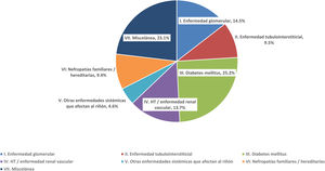 Distribución de los pacientes incidentes en terapia renal sustitutiva en 2023 en función de la enfermedad renal primaria.