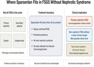 Where sparsentan fits in focal segmental glomerulosclerosis without nephrotic syndrome. Sparsentan approval creates a need for phenotype-driven treatment selection rather than category-wide prescribing. The framework emphasizes that focal segmental glomerulosclerosis (FSGS) is biologically heterogeneous and that phenotype should precede treatment selection. Sparsentan is best positioned as a nonimmunosuppressive antiproteinuric strategy when biopsy-confirmed FSGS, persistent proteinuria, absence of overt nephrotic syndrome, and no clear indication for intensive immunosuppression coexist. Patients with convincing primary nephrotic FSGS remain candidates for immunosuppression, whereas patients with secondary/adaptive dominant disease require driver-directed supportive care. Proteinuria reduction supports therapeutic relevance but should not be interpreted as proof of durable kidney benefit across all FSGS phenotypes.