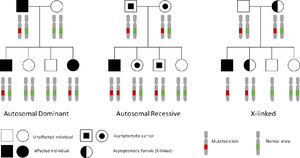 Mendelian inheritance patterns in monogenic kidney diseases.