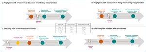 Ravulizumab treatment during kidney transplantation.