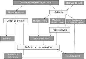 Fisiopatología de la ATRd. Fuente: Imagen cedida por el Dr. Buades Fuster con permiso del autor el Dr. Víctor García Nieto.