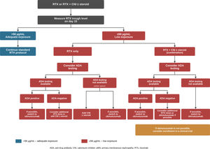 Proposed stepwise treatment algorithm for moderate- or high-risk primary membranous nephropathy based on day-15 rituximab levels. ADA: anti-drug antibody; CNI: calcineurin inhibitor; pMN: primary membranous nephropathy; RTX: rituximab.