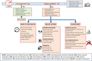 Therapeutic decision-making in the care pathway of patients with a failing graft.