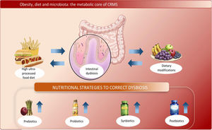 Obesity, diet, and microbiota: the metabolic core of cardiorenal metabolic syndrome (CRMS). The figure illustrates how obesity—particularly visceral adiposity—acts as the metabolic core of CRMS by promoting intestinal dysbiosis, low-grade metabolic inflammation, and insulin resistance. Unhealthy dietary patterns alter the composition and function of the gut microbiota, while modulation strategies—including dietary modifications, prebiotics, probiotics, synbiotics, and polyphenols—can partially restore microbial homeostasis and modulate cardiometabolic and cardiorenal risk.