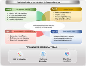 Cardiorenal metabolic syndrome (CRMS) classification according to gut microbiota dysfunction phenotype. The figure presents a conceptual classification proposal for microbiota-mediated cardiorenal metabolic syndrome, aimed at facilitating clinical risk stratification and the design of future interventions. Four phenotypes are proposed, which may overlap and coexist in the same patient. Authors’ own elaboration.