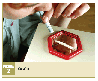 Consumidores de cocaína: del uso recreativo al consumo adictivo. Una  propuesta de intervención preventiva y asistencial
