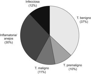 Distribución temporal del número de teleconsultas por centros de salud.