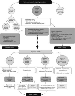 Algoritmo de decisión a partir de los resultados de la anamnesis, la exploración física y la analítica. HBP: hiperplasia benigna de próstata; IPSS: Índice Internacional de Síntomas Prostáticos (International Prostate Symptom Score); PSA: antígeno prostático específico (prostate-specific antigen); TR: tacto rectal.