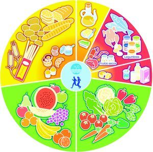 Rueda de los alimentos. Fuente: Sociedad Española de Dietética y Ciencias de la Alimentación (SEDCA), 2005.