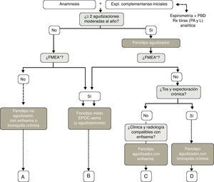 Algoritmo diagnóstico de los fenotipos clínicos. FMEA: fenotipo mixto EPOC-asma.