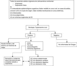 Algoritmo 1: abordaje de la enfermedad de Chagas en población adulta en atención primaria de salud en España EC: enfermedad de Chagas; ECG: electrocardiograma; Rx: radiografía