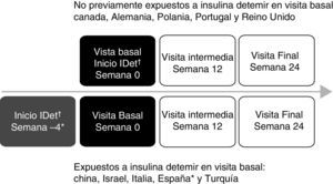 Diseño del estudio. † Se añade IDet (una vez al día) a tratamiento previo con antidiabéticos orales, según práctica clínica. * En España se incluyeron pacientes que durante el mes previo al inicio del estudio habían iniciado tratamiento con insulina detemir (IDet).