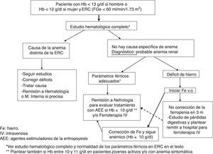 Algoritmo de estudio y remisión a Nefrología por anemia de origen renal.
