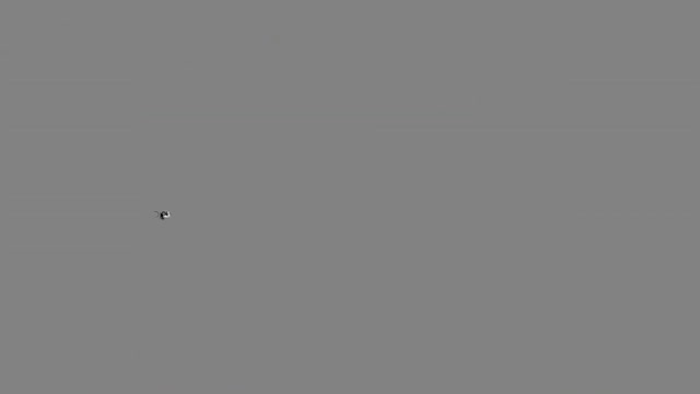 https://ars.els-cdn.com/content/image/1-s2.0-S0212656716303808-mmc1.mp4
