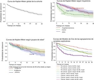 Curvas de supervivencia de la cohorte, global y según las variables más relevantes.