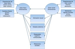 Mecanismos compartidos entre dolor físico y social. Traducido de Sturgeon y Zautra9.