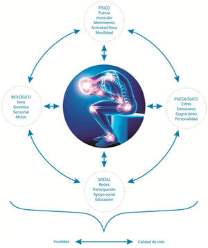 Modelo conceptual de las consideraciones biopsicosociales en el manejo del dolor crónico. Fuente: adaptado de Butera et al.6.
