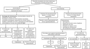 Algoritmo diagnóstico de la esquistosomiasis en atención primaria.