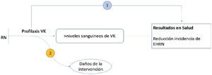 Marco analítico. Profilaxis con vitamina K. Adaptado con autorización del USPSTF. VK: vitamina K; EHRN: enfermedad hemorrágica del recién nacido.