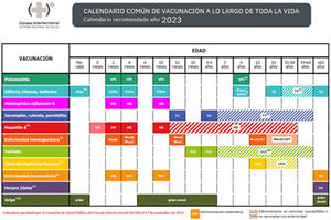 Calendario común de vacunación a lo largo de toda la vida para 2023 del CISNS. Disponible en: https://www.sanidad.gob.es/profesionales/saludPublica/prevPromocion/vacunaciones/calendario-y-coberturas/docs/CalendarioVacunacion_Todalavida.pdf.