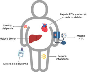 Principales comorbilidades del sobrepeso/obesidad que mejoran con la reducción de peso. ECV: enfermedad cardiovascular; EHmet: enfermedad hepática metabólica; HTA: hipertensión arterial. Imágenes: Flaticon.com.