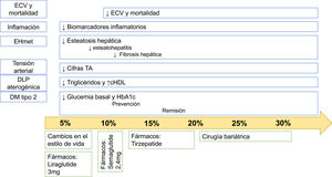 Porcentaje de reducción de peso necesario y sus estrategias para mejorar las comorbilidades asociadas a la obesidad/sobrepeso. En esta figura se muestra el porcentaje de pérdida de peso que se alcanza con las distintas estrategias y la reducción de peso necesaria para mejorar las diferentes comorbilidades asociadas a la adiposidad. DLP: dislipemia; DM tipo2: diabetes mellitus tipo 2; ECV: enfermedad cardiovascular; EHmet: enfermedad hepática metabólica; TA: tensión arterial.