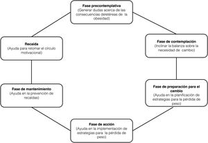 Modelos de los estadios del cambio descrito por Prochaska et al. y acciones del terapeuta recomendadas en casa fase.