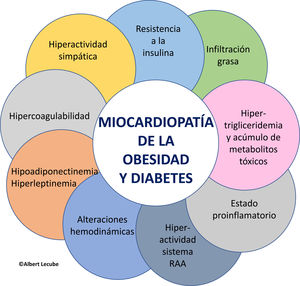 Mecanismos implicados en el desarrollo de la miocardiopatía asociada a la obesidad. RAA: renina, angiotensina y aldosterona; HiperTG: hipertrigliceridemia.