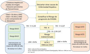 Non-Alcoholic Fatty Liver Disease (NAFLD) / Non-Alcoholic SteatoHepatitis (NASH). Algoritmo de actuación y riesgos según el índice FIB de fibrosis hepática. Modificado de 362.