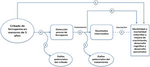 Cribado de ferropenia en menores de cinco años: marco analítico. Adaptado con autorización del USPSTF. Disponible en: Methods and Processes | United States Preventive Services Taskforce (uspreventiveservicestaskforce.org). Actualizado a marzo de 201729.
