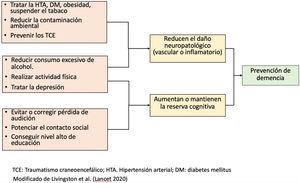 Actuación sobre los factores de riesgo potencialmente modificables en la prevención de la demencia y posibles mecanismos cerebrales implicados. Fuente: elaboración propia.