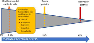 Distintos tratamientos para la obesidad.