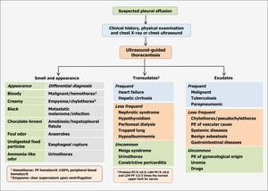 Diagnosis of a pleural effusion.