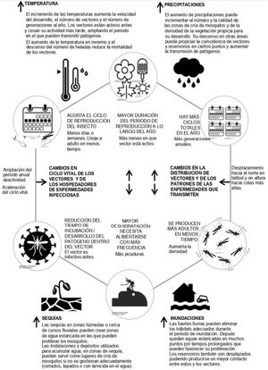 Influencia del cambio climático sobre los vectores de enfermedades infecciosas. Fuente: Cambio climático y enfermedades transmitidas por vectores y roedores: guía para profesionales. Escuela Andaluza de Salud Pública. Dirección General de Salud Pública y Ordenación Farmacéutica. Consejería de Salud y Familias, editor. Observatorio de Salud y Medio Ambiente de Andalucía (OSMAN). 2021. Tomado con permiso del autor Jesús de la Osa Tomás9. Disponible en: https://adaptecca.es/sites/default/files/documentos/2016_observatorio-cambio-climatico-salud.pdf.