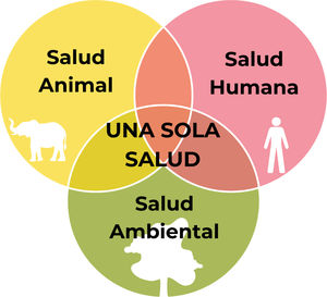 El concepto «Una Sola Salud» o «One Health» de la OMS. Elaboración propia.