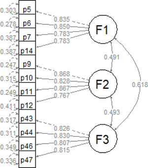 Confirmatory model of the short version of the instrument (n=1196).