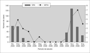 Distribución mensual de los casos de infección respiratoria causados por el virus respiratorio sincitial (VRS) y el metapneumovirus humano (MPVh) durante el período de estudio.