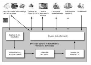 Estructura de los procesos de la RedMIVA.