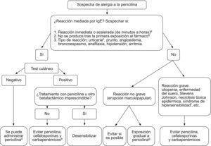 Actitud que se debe seguir en casos de alergia a betalactámicos (adaptado de Gruchalla et al). aLas reacciones retrasadas (de días a semanas), sugieren en general otros mecanismos. bLas reacciones mediadas por IgE precisan de sensibilización (exposición) previa. cLos exantemas no urticariformes (maculopapulares, eccematosos, bullosos, pustulosos…) son reacciones no medidas por IgE. dRiesgo de reacción grave, aún con antecedente por historia clínica, similar al de la población general (ver texto). eEn alérgicos a la penicilina se puede administrar aztreonam. fTipo de reacción grave no mediada por IgE, consistente en fiebre, alteraciones hematológicas con eosinofilia, rash, linfadenopatía. Aunque no es habitual, se puede asociar al uso de antibióticos. gAdministrar dosis ascendentes de penicilina y valorar en función de la evolución: la aparición de lesiones cutáneas graves, como bullosas, extensas o con afectación de mucosas requieren retirar el fármaco; si se presentan reacciones leves se pueden tratar con antihistamínicos o corticoides. La desensibilización no tiene sentido en reacciones no mediadas por IgE.
