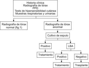 Tratamiento diagnóstico de tuberculosis en trasplante no urgente y radiografía de tórax anormal13. LBA: lavado broncoalveolar; PPD: purified protein derivative `derivado proteico purificado'.
