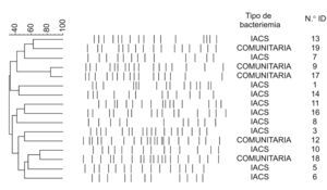 Representación del grado de similitud entre los aislados de Escherichia coli. N.° ID: número de identificación del aislado.