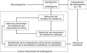 Proceso de interpretación del antibiograma y de la lectura interpretada del antibiograma en el estudio de la sensibilidad a los antimicrobianos en el laboratorio de microbiología.