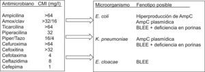 Ejercicio fenotípico que recoge las inferencias que pueden realizarse ante un fenotipo determinado sin conocer previamente la identificación del microorganismo. BLEE: betalactamasa de espectro extendido.