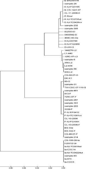 Phylogenetic tree analyses were used to demonstrate the evolutionary relationships between clinical isolates from infertile women and reference strains of Chlamydia trachomatis obtained from GenBank. Nucleotide sequences of the ompA gene determined in this study were aligned using the MEGA program (version 4).