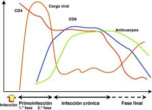 Evolución de carga viral, CD4 y respuesta inmunitaria en la infección por el virus de la inmunodeficiencia humana-1.