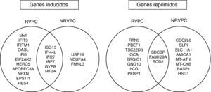 Representación de genes inducidos y reprimidos en RVPC y NRVPC mediante diagramas de Venn. RVPC: respuesta virológica precoz completa. NRVPC: sin respuesta virológica precoz completa.